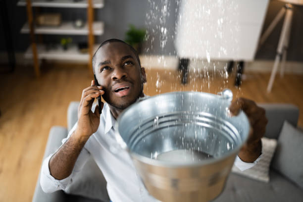 Best Water damage cleanup near me  in Wooster, OH
