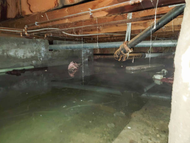 Best Sewage cleanup and water damage restoration  in Wooster, OH