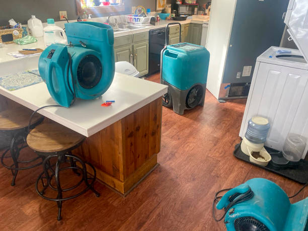 Best Ceiling water damage repair  in Wooster, OH