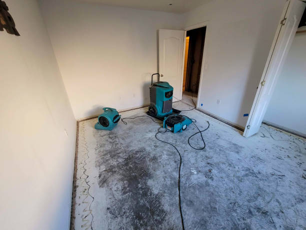 Best Professional water damage repair  in Wooster, OH