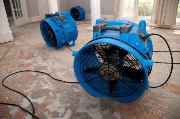Local water damage restoration in Wooster, OH