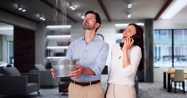 Best Water damage cleanup near me  in Wooster, OH