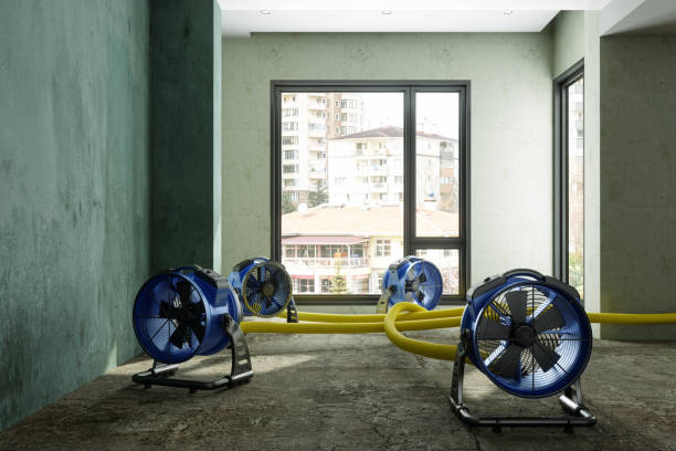 Best Water damage restoration specialists  in Wooster, OH