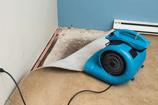 Best Water damage restoration near me  in Wooster, OH